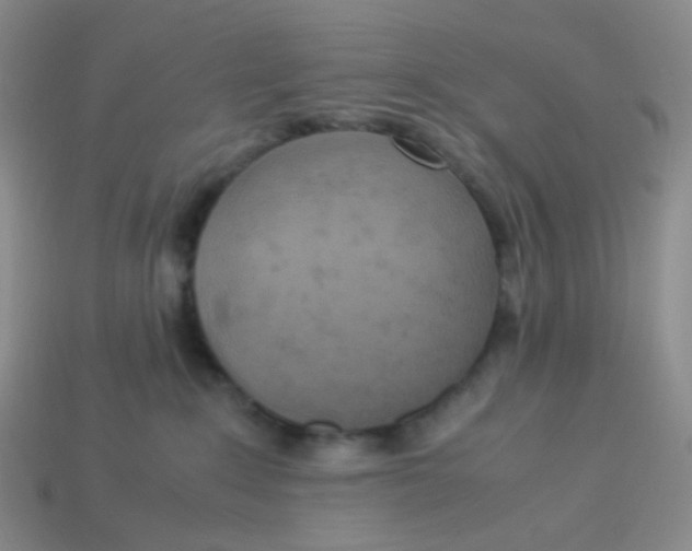 X0000113290235200910131032