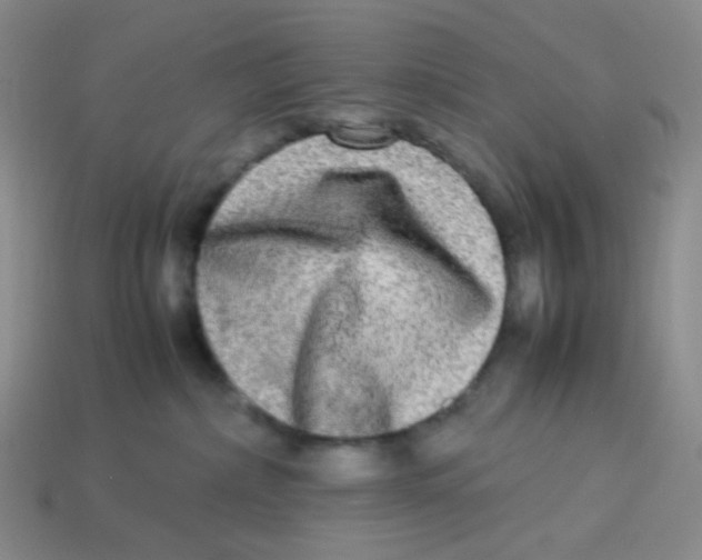 X0000113290236200910131032