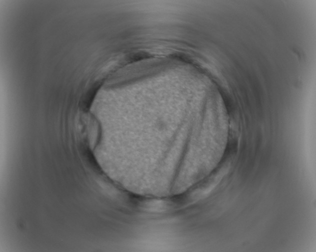 X0000113290237200910131032