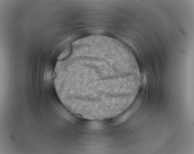 X0000113290238200910131032