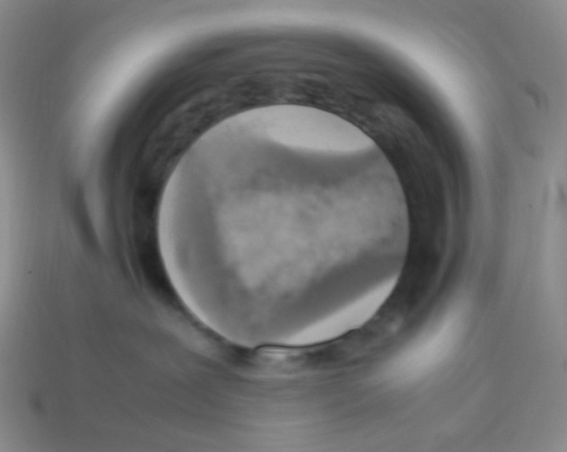X0000113290239200910131032