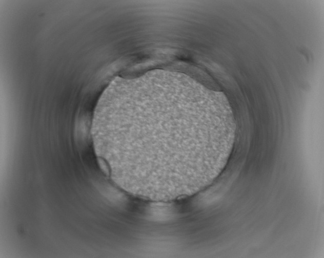 X0000113290240200910131032