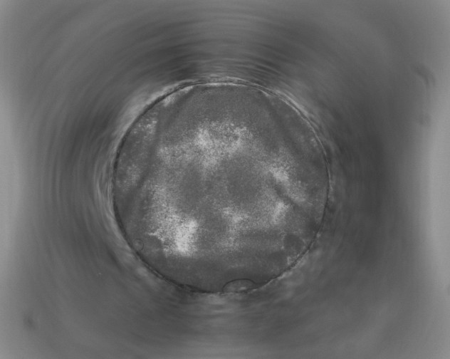 X0000113290241200910131032