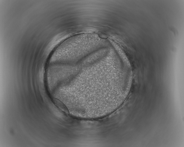 X0000113290242200910131032
