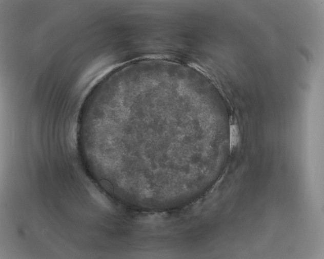 X0000113290243200910131032