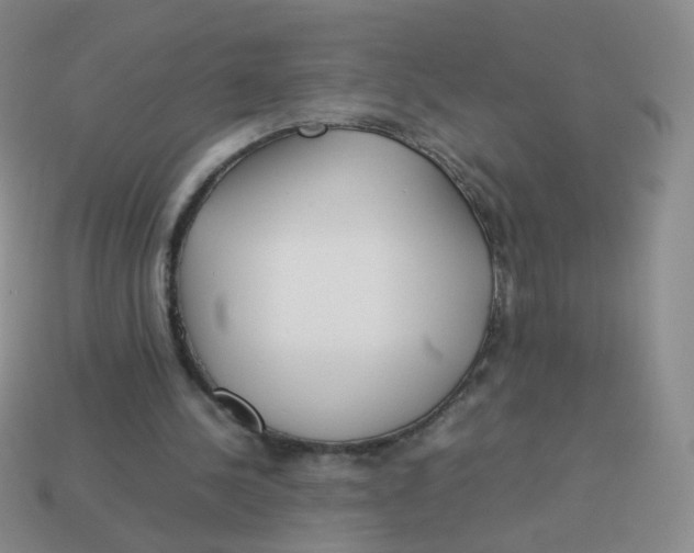 X0000113290244200910131032