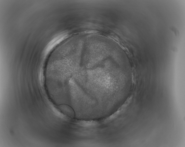X0000113290245200910131032