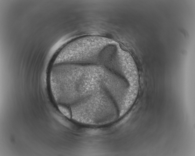 X0000113290246200910131032