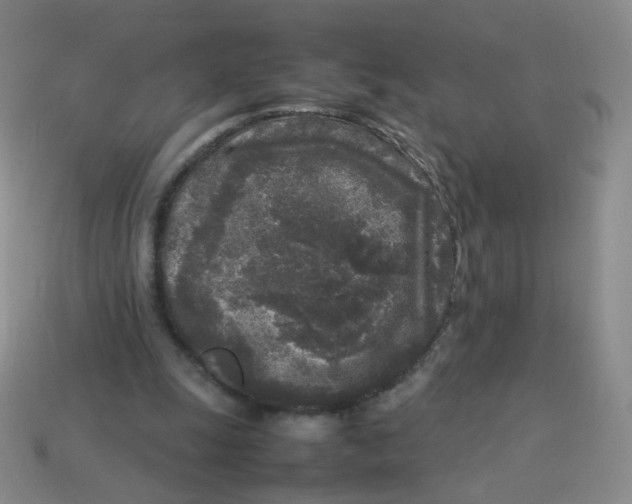 X0000113290247200910131032