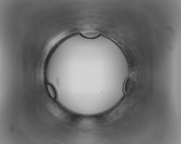 X0000113290248200910131032