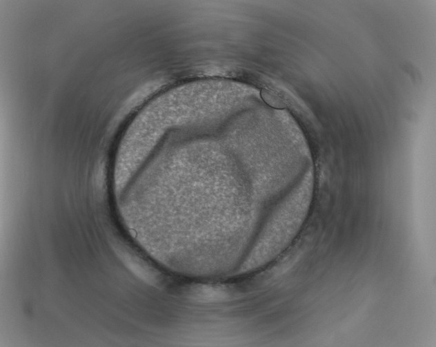 X0000113290250200910131032