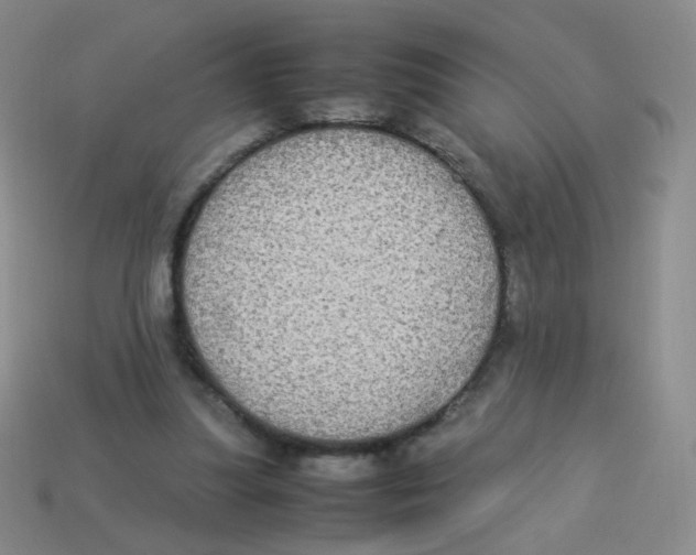X0000113290251200910131032