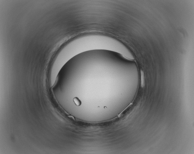 X0000113290252200910131032