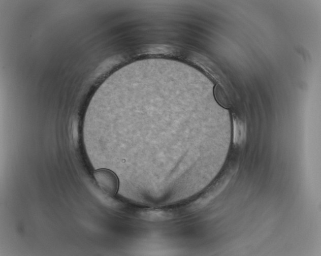 X0000113290253200910131032