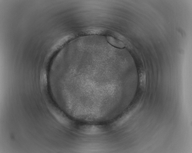X0000113290254200910131032