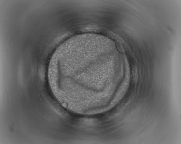 X0000113290255200910131032