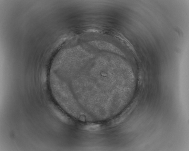 X0000113290257200910131032