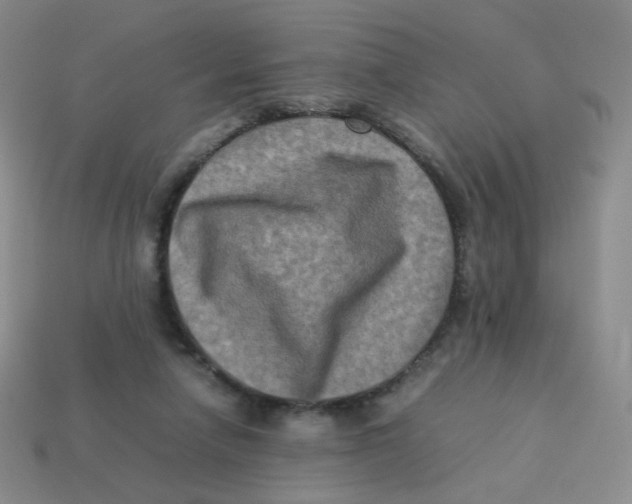 X0000113290258200910131032