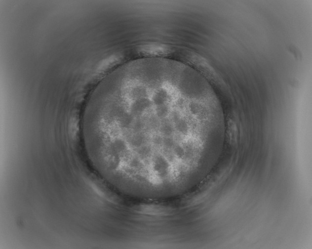 X0000113290259200910131032