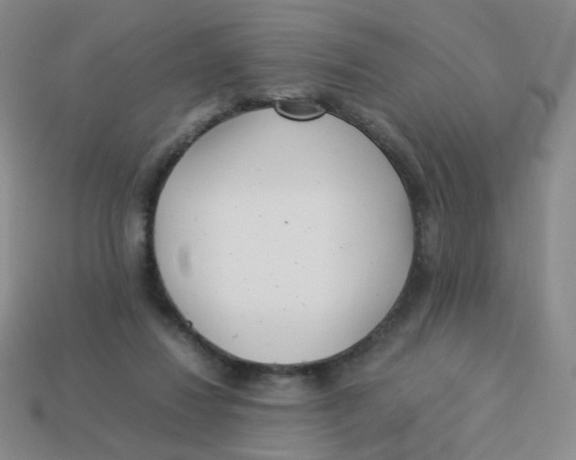 X0000113290260200910131032