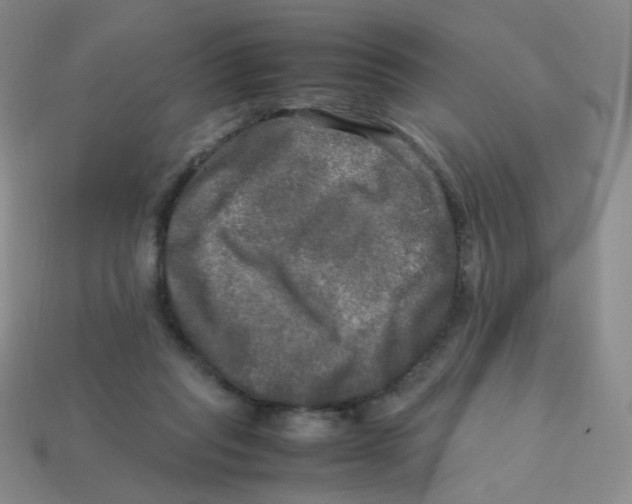 X0000113290261200910131032