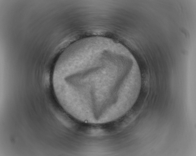 X0000113290262200910131032