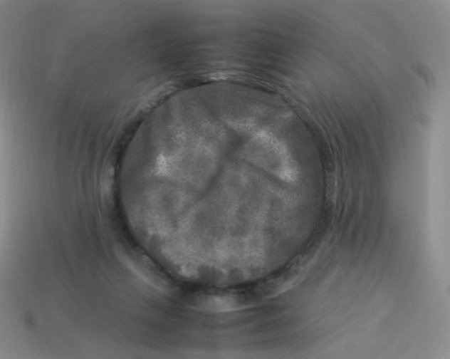 X0000113290263200910131032