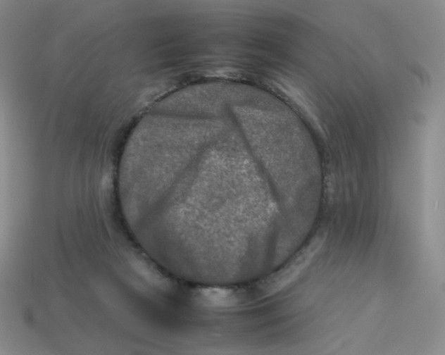 X0000113290265200910131032