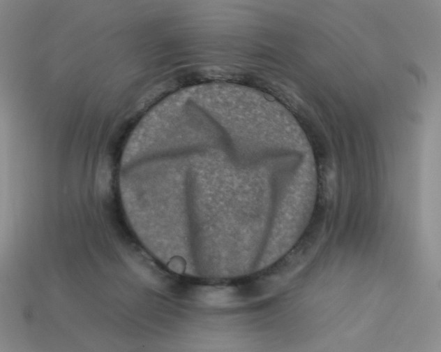 X0000113290266200910131032