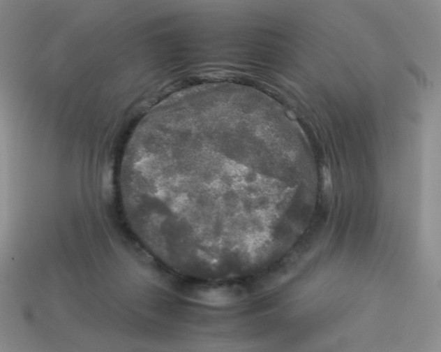 X0000113290267200910131032