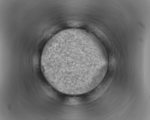 X0000113290268200910131032