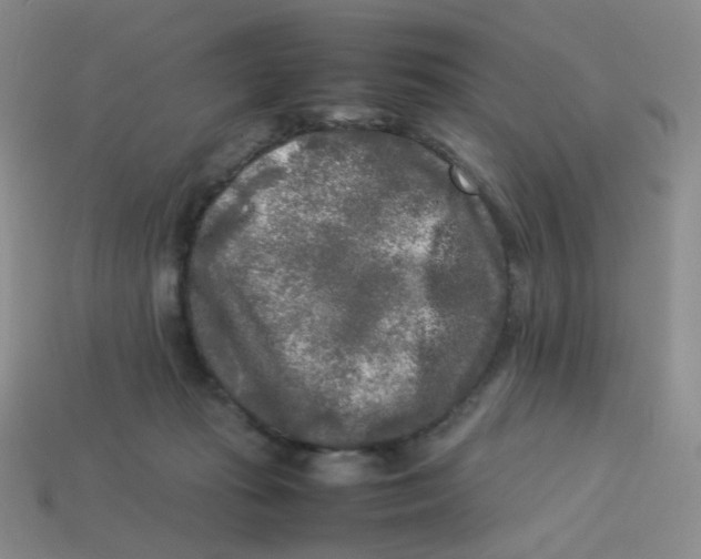 X0000113290269200910131032