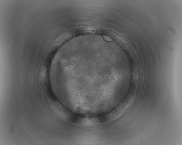 X0000113290270200910131032