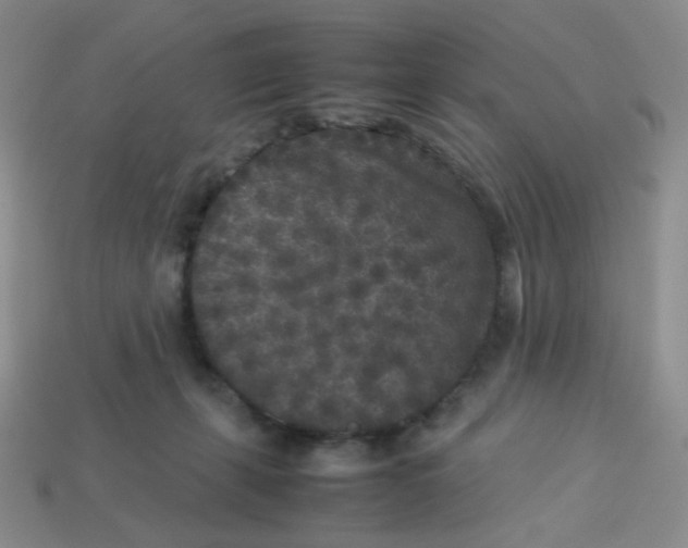 X0000113290271200910131032