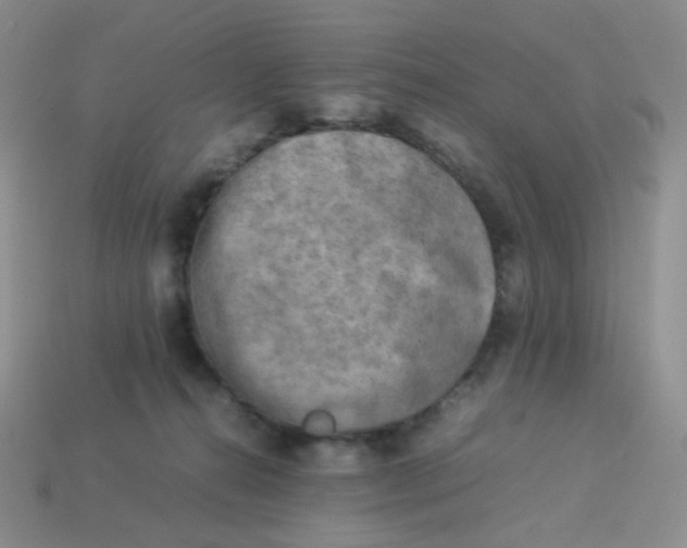 X0000113290272200910131032