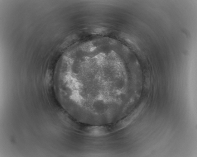 X0000113290273200910131032