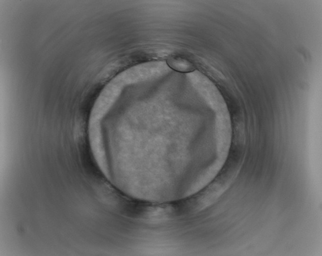 X0000113290274200910131032