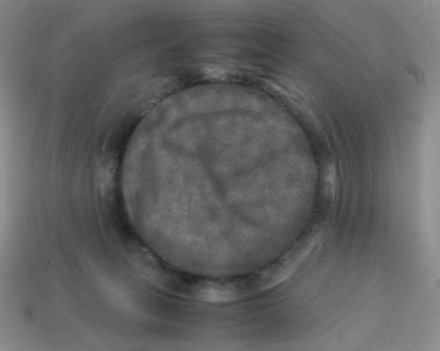 X0000113290275200910131032
