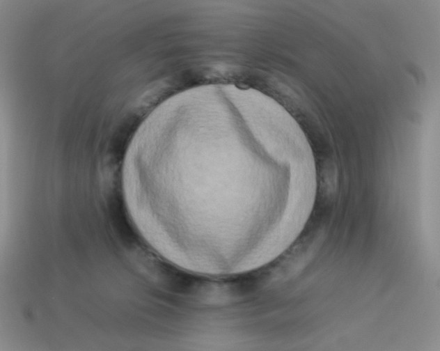 X0000113290276200910131032