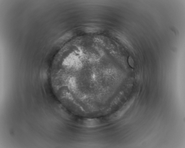 X0000113290277200910131032