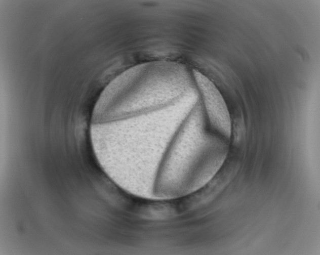 X0000113290279200910131032