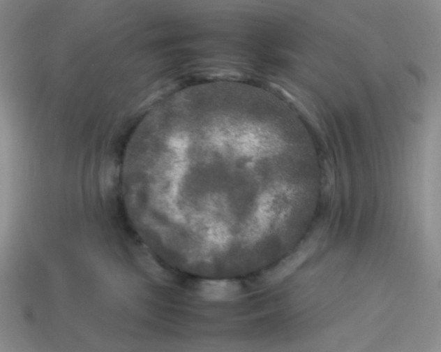X0000113290281200910131032