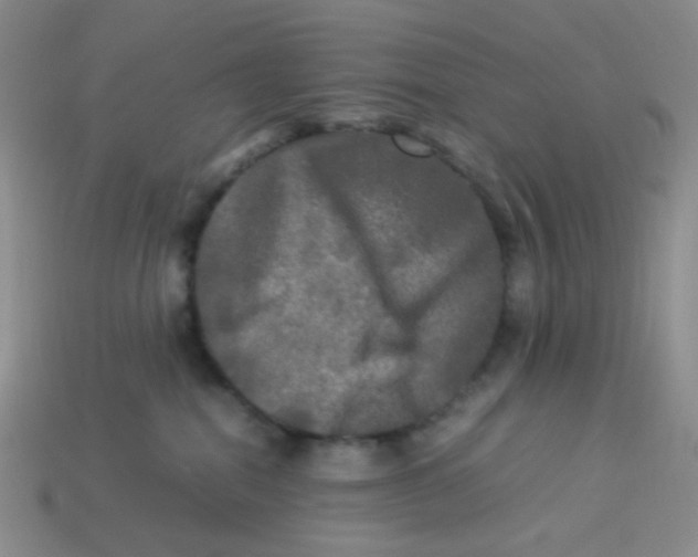 X0000113290282200910131032