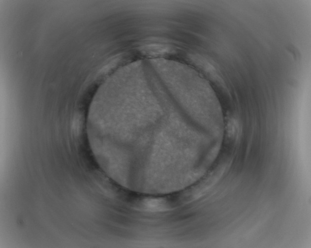 X0000113290283200910131032