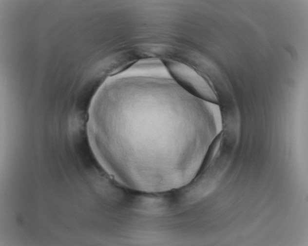 X0000113290284200910131032