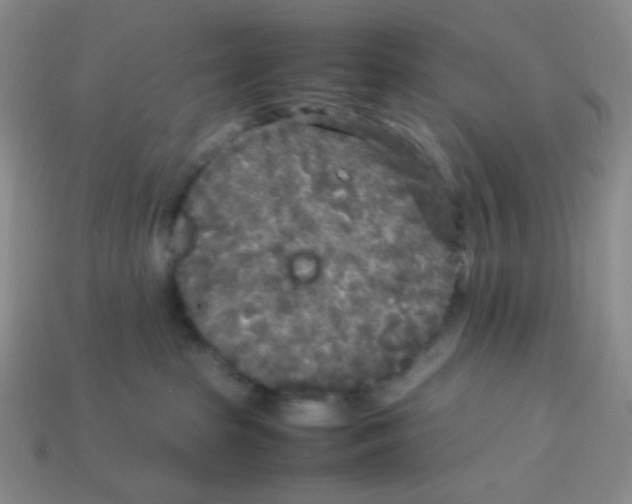 X0000113290285200910131032