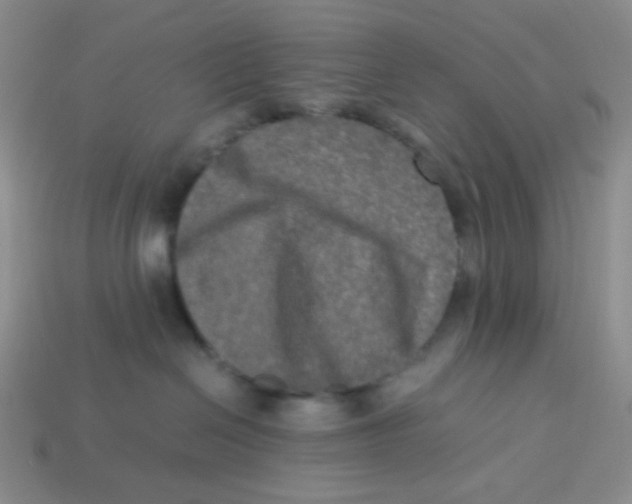 X0000113290286200910131032