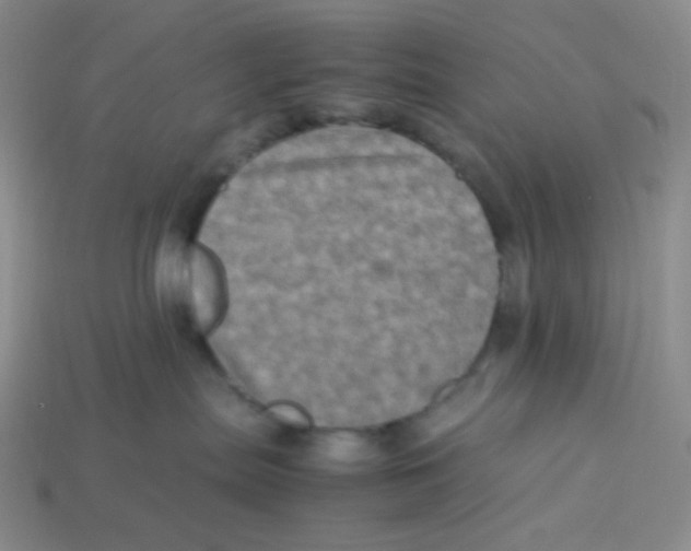 X0000113290287200910131032