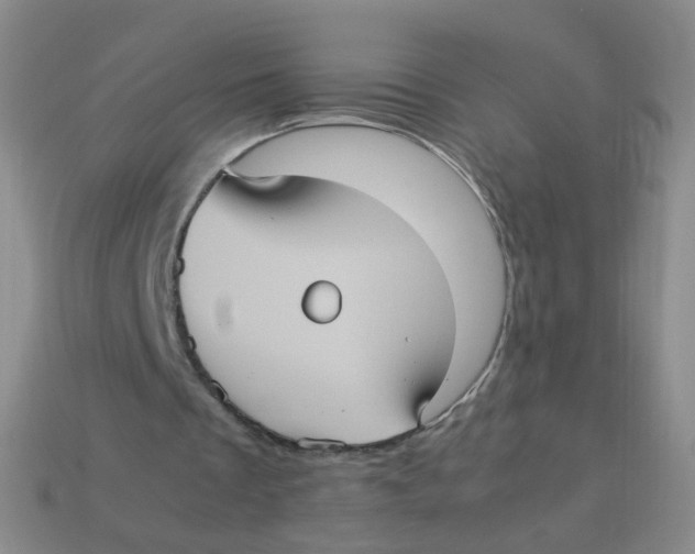 X0000113290289200910131032