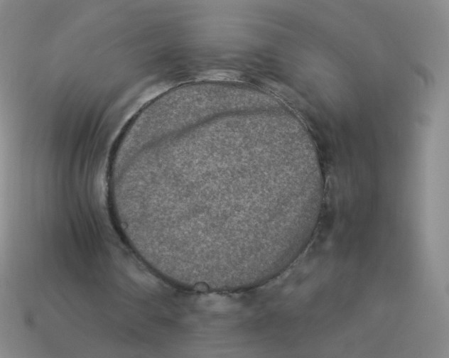 X0000113290290200910131032